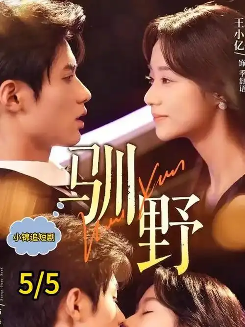 九零年代放映员电视剧全集在线观看